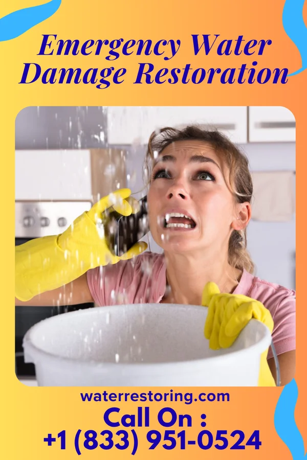 Emergency Water Damage Restoration in Cohasset, MN