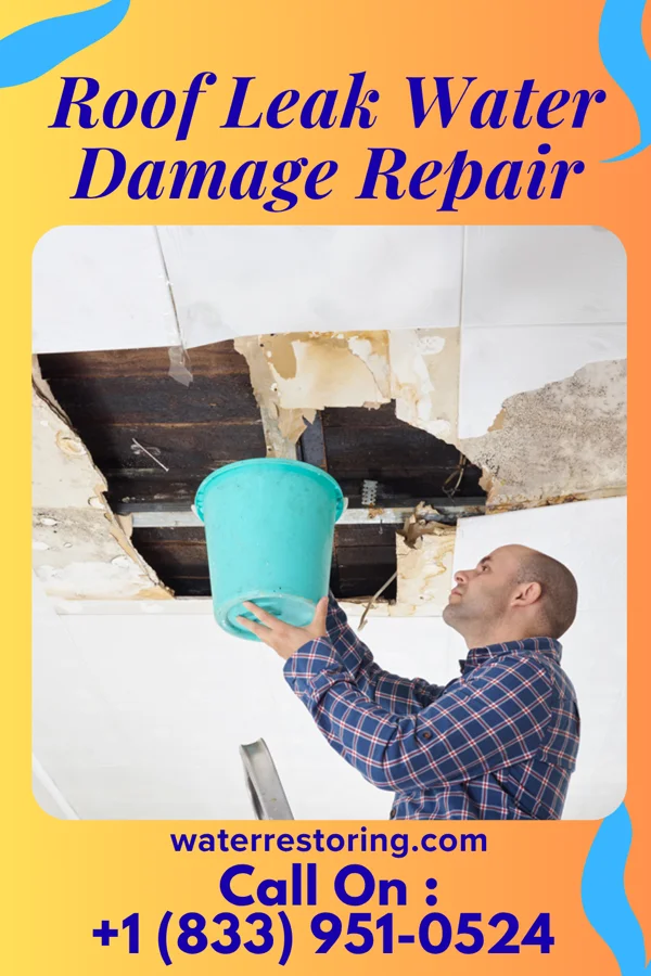 Roof Leak Water Damage Repair in Cohasset, MN